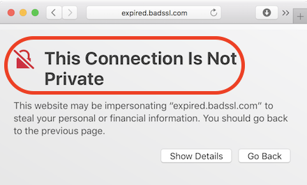 Apple Safari - Website with Invalid Certificate