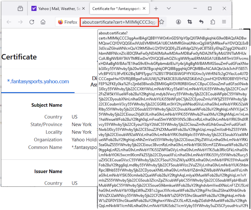 Website Certificate in Base64 Encoding in Mozilla Firefox 125