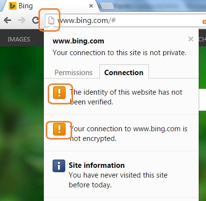 Chrome 29 - Site Identification and Connection Information