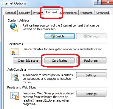 IE Option - View Certificates