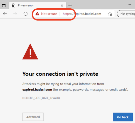 Microsoft Edge - Website with Invalid Certificate